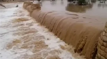 الشعب الفلسطيني يواجه شتاءً قاسياً وفشل بنياته الأساسية مع تصاعد الدعم الإنساني المصري